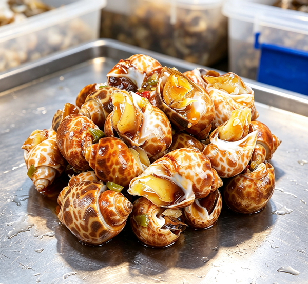 Steamed Sea Snails