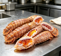 Cooked prawns with bright orange shells